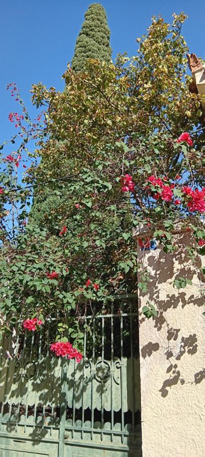 Athenian Asty Guesthouse Luaran gambar