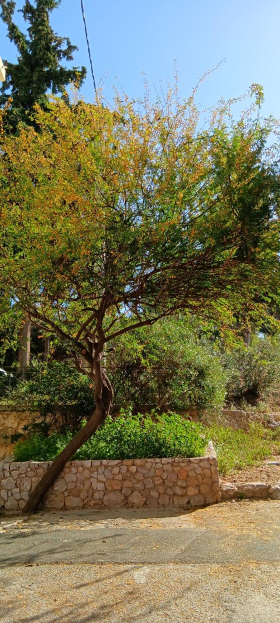 Athenian Asty Guesthouse Luaran gambar