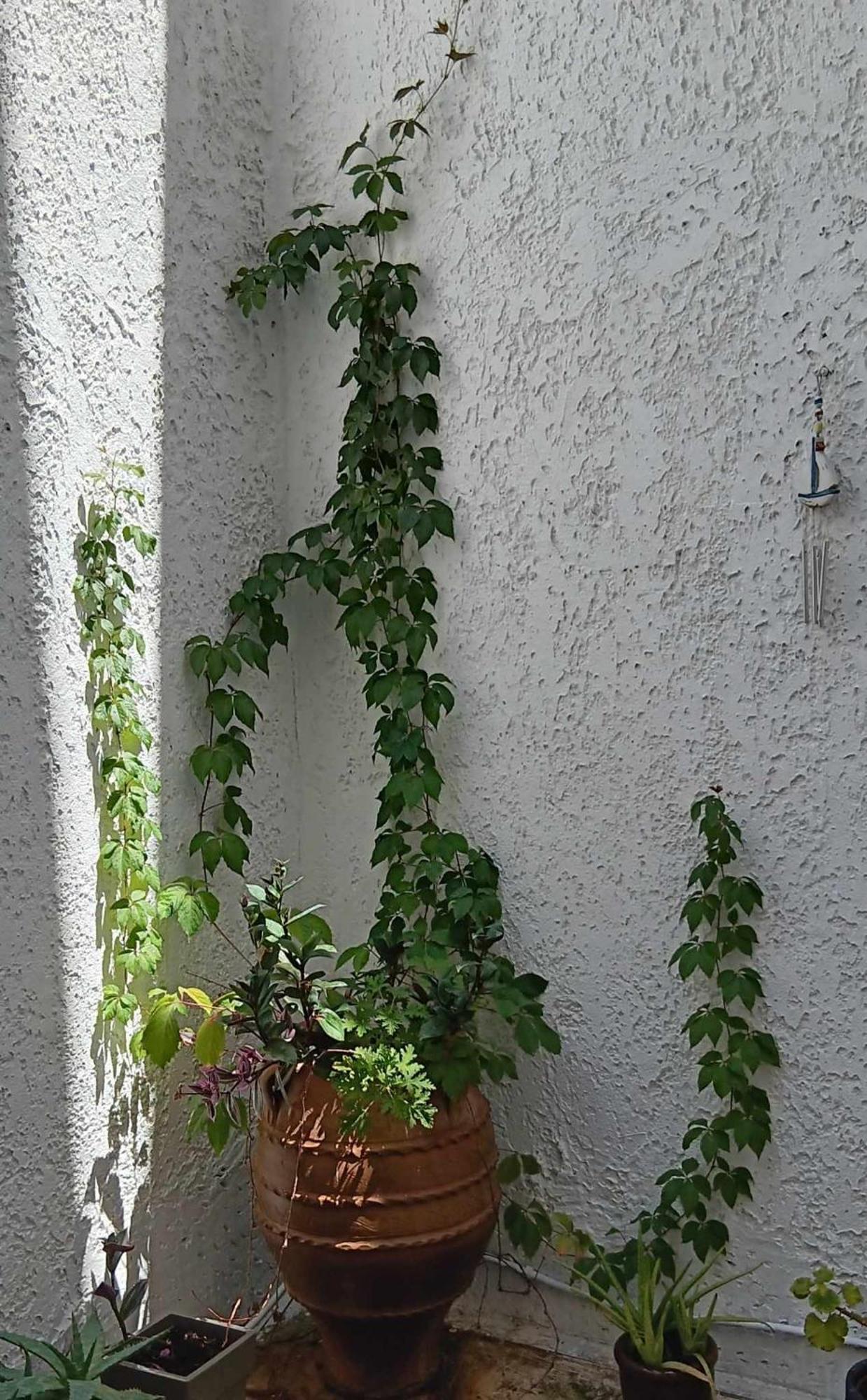 Athenian Asty Guesthouse Luaran gambar